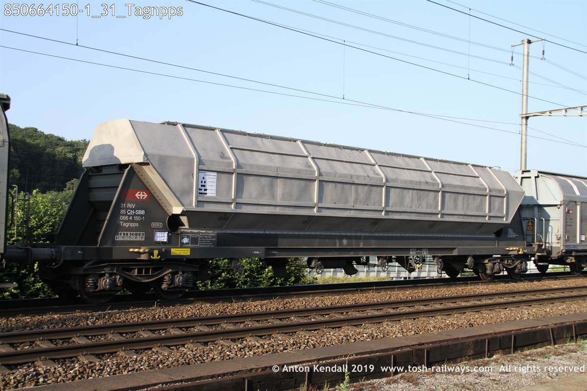 850664150-1_31_Tagnpps.JPG